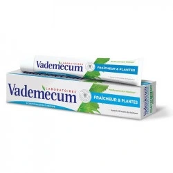 VADEMECUM DENTIFRICE FRAICHEUR ET PLANTES 65ML