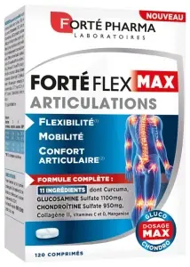 FORTE.PH FORTE FLEX MAX ARTICULATIONS GEL B/120