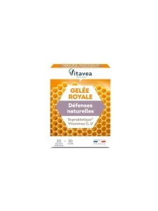 VITAVEA NECTAR GELEE ROYALE + SUPRABIOTIQUE – Image 3