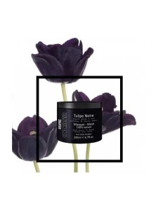 STARTEC COLORISTEUR MASQUE TULIPE NOIRE 200ML