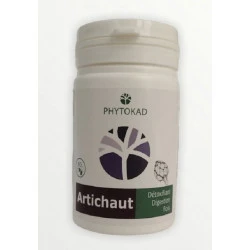 PHYTOKAD ARTICHAUT GEL B/60 – Image 4