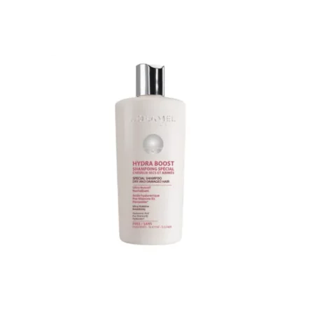 LORAMEL HYDRA BOOST SHAMP SPECIAL CHX SECS ET ABIMES 300ML 0400