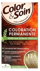 3CHENES COLOR SOIN BLOND SABLE CENDRE 11A