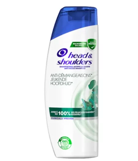 HEAD & SHOULDERS SHAMP SOIN ANTI DEMANGEAISONS 400ML